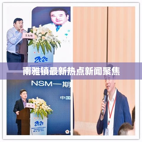 南雅镇最新热点新闻聚焦