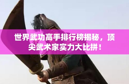 世界武功高手排行榜揭秘，顶尖武术家实力大比拼！