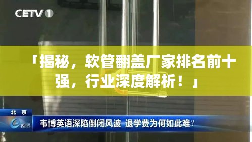 「揭秘，软管翻盖厂家排名前十强，行业深度解析！」