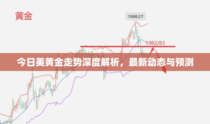 今日美黄金走势深度解析，最新动态与预测
