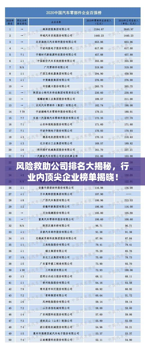 风险救助公司排名大揭秘，行业内顶尖企业榜单揭晓！