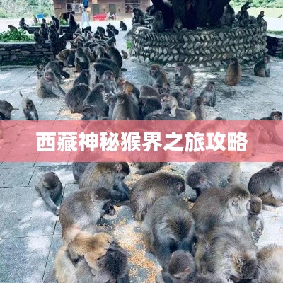 西藏神秘猴界之旅攻略