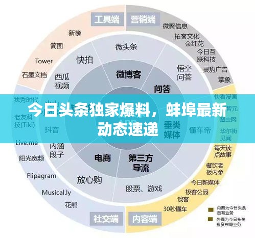 今日头条独家爆料，蚌埠最新动态速递
