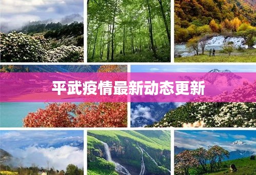 平武疫情最新动态更新