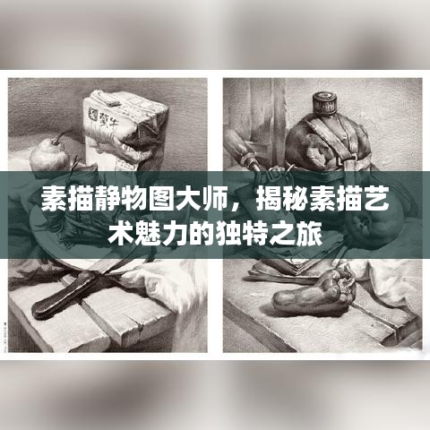 素描静物图大师，揭秘素描艺术魅力的独特之旅