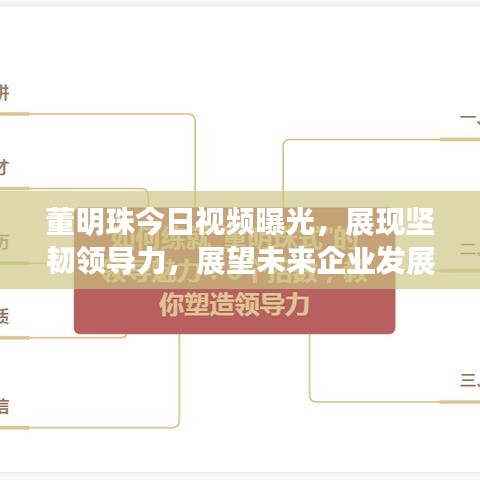 董明珠今日视频曝光，展现坚韧领导力，展望未来企业发展之路