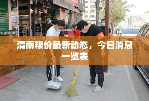 渭南粮价最新动态，今日消息一览表