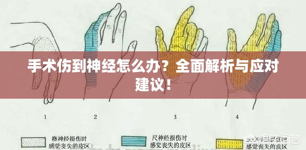手术伤到神经怎么办？全面解析与应对建议！