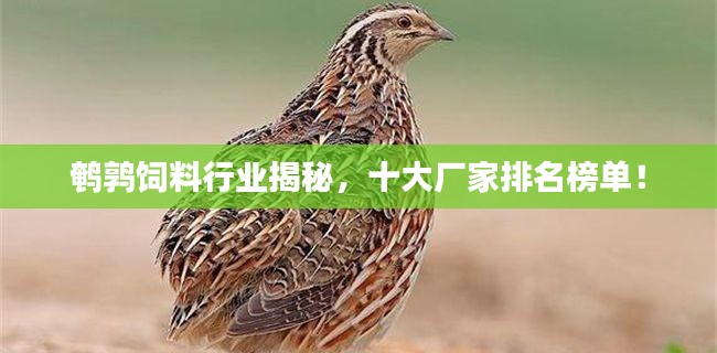 鹌鹑饲料行业揭秘，十大厂家排名榜单！