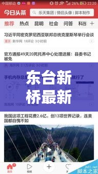 东台新桥最新消息，新闻头条抢先看