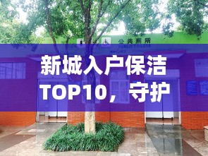 新城入户保洁TOP10，守护温馨家园的清洁守护者