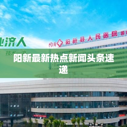 阳新最新热点新闻头条速递