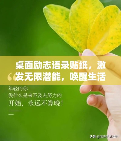桌面励志语录贴纸，激发无限潜能，唤醒生活热情！