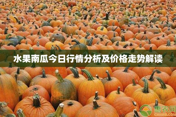 水果南瓜今日行情分析及价格走势解读