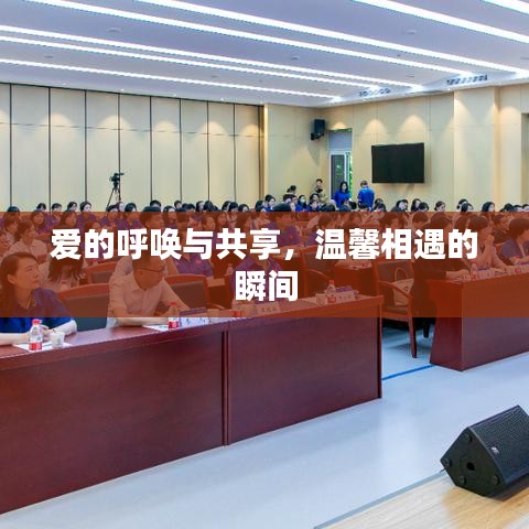 爱的呼唤与共享，温馨相遇的瞬间