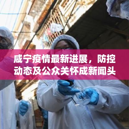 咸宁疫情最新进展，防控动态及公众关怀成新闻头条焦点