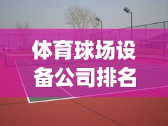 体育球场设备公司排名揭晓，影响力深度解析