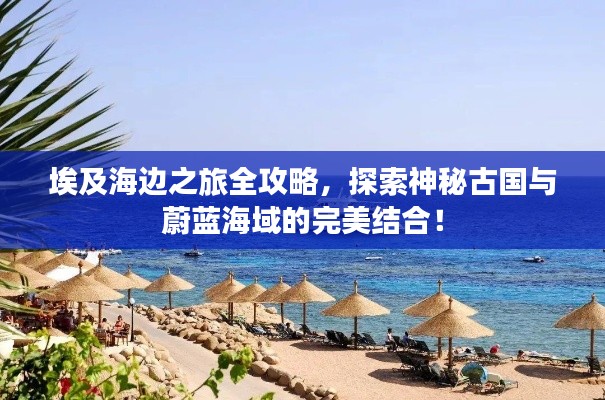 百不得一 第2页