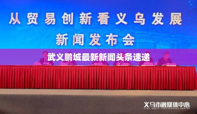 武义鹏城最新新闻头条速递