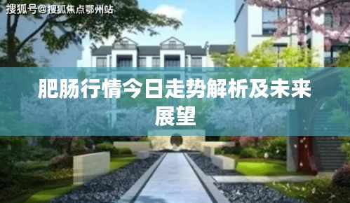 肥肠行情今日走势解析及未来展望
