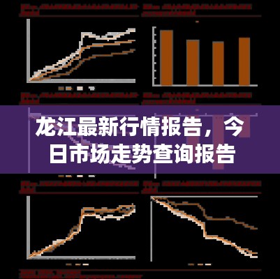 龙江最新行情报告，今日市场走势查询报告