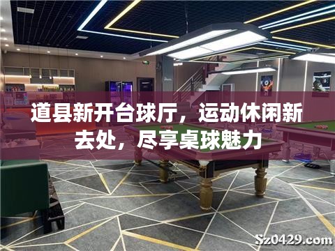 道县新开台球厅，运动休闲新去处，尽享桌球魅力