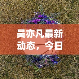 吴亦凡最新动态，今日消息一网打尽！