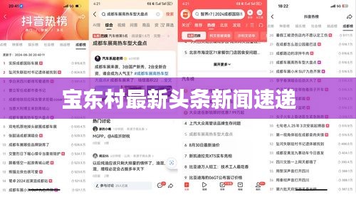 宝东村最新头条新闻速递