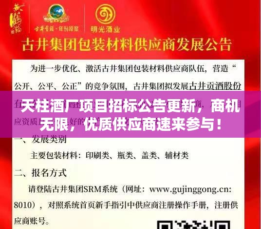 囫囵吞枣 第3页