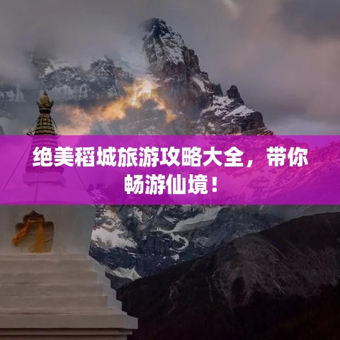 手不释卷 第2页