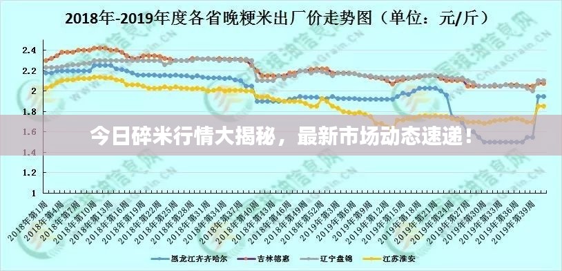 今日碎米行情大揭秘，最新市场动态速递！