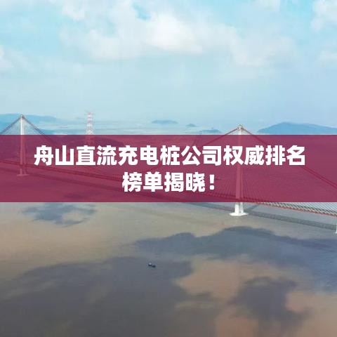 舟山直流充电桩公司权威排名榜单揭晓！