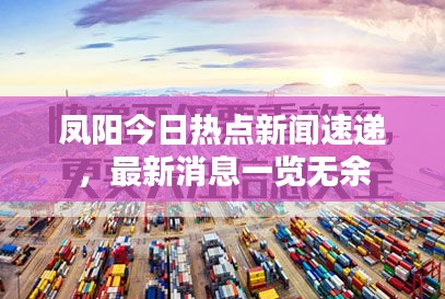 凤阳今日热点新闻速递，最新消息一览无余
