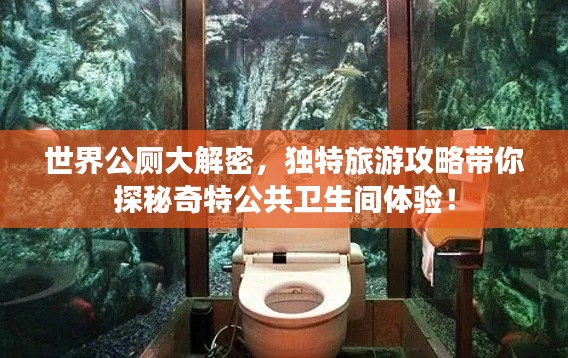世界公厕大解密，独特旅游攻略带你探秘奇特公共卫生间体验！