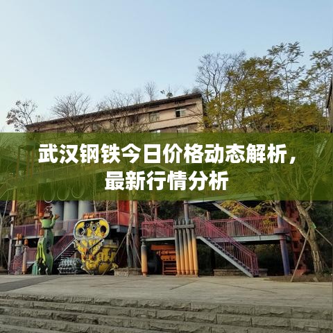 武汉钢铁今日价格动态解析，最新行情分析