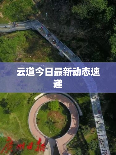 云道今日最新动态速递