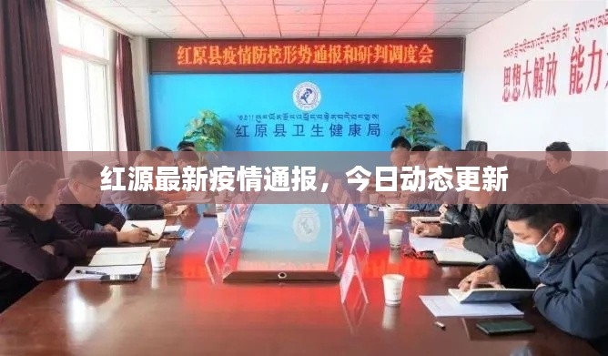 红源最新疫情通报，今日动态更新