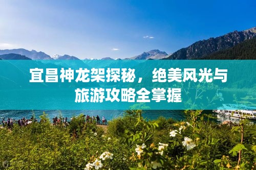 宜昌神龙架探秘，绝美风光与旅游攻略全掌握