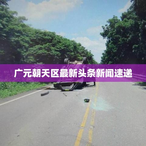 广元朝天区最新头条新闻速递