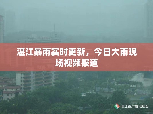 湛江暴雨实时更新，今日大雨现场视频报道