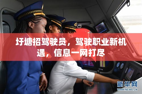 圩塘招驾驶员，驾驶职业新机遇，信息一网打尽