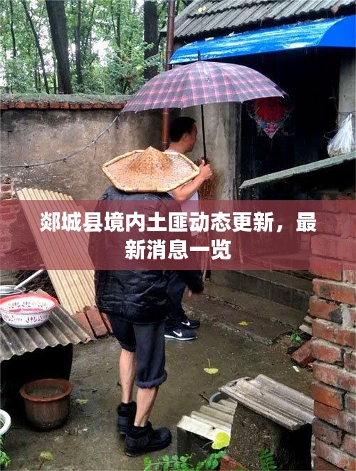 郯城县境内土匪动态更新，最新消息一览