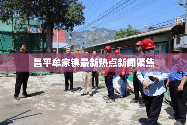 昌平牟家镇最新热点新闻聚焦