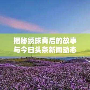 揭秘绣球背后的故事与今日头条新闻动态