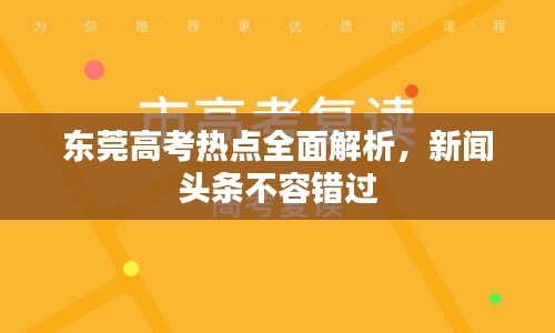 东莞高考热点全面解析，新闻头条不容错过