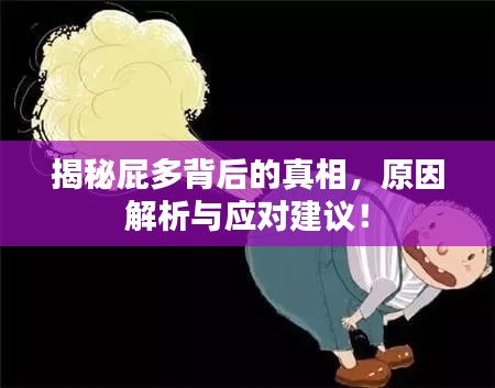 揭秘屁多背后的真相，原因解析与应对建议！