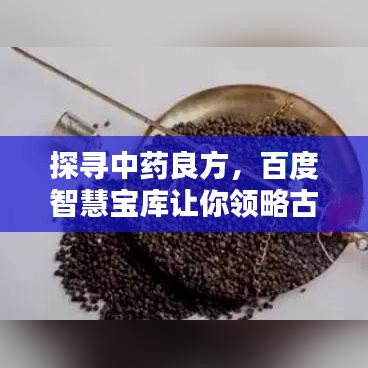 探寻中药良方，百度智慧宝库让你领略古老智慧魅力