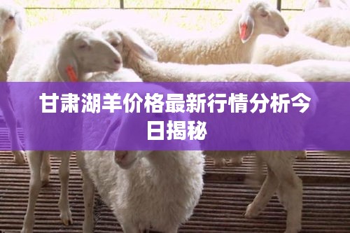 还淳返朴 第2页