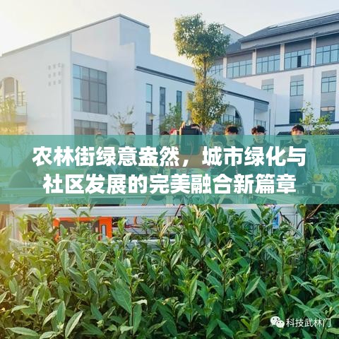 农林街绿意盎然，城市绿化与社区发展的完美融合新篇章