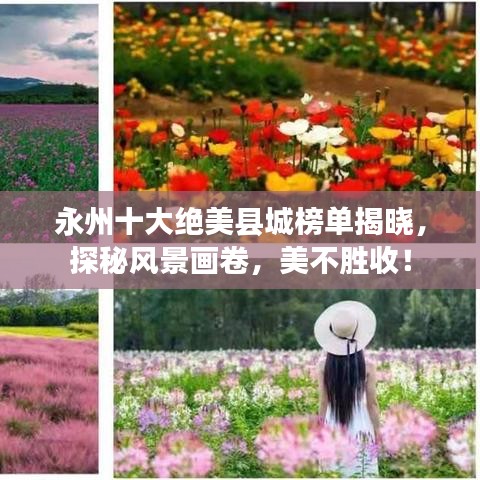狗尾续貂 第2页